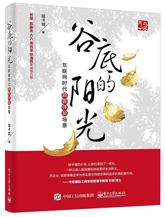 谷底的阳光——互联网时代顾客体验场景