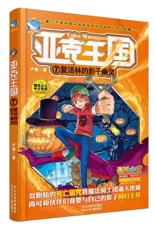 亚克王国7・复活林的影子幽灵