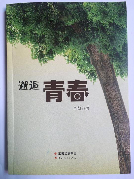 邂逅青春