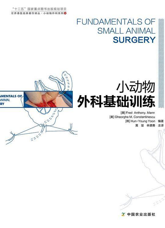 小动物外科基础训练