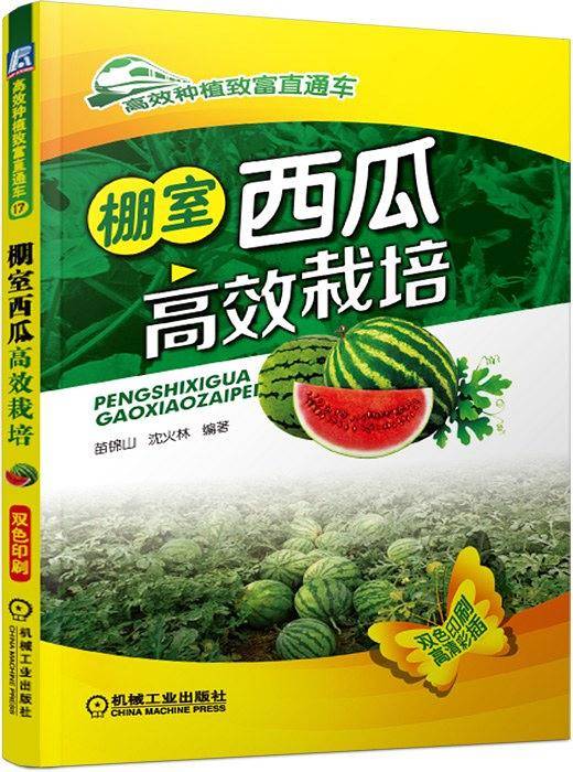 棚室西瓜高效栽培