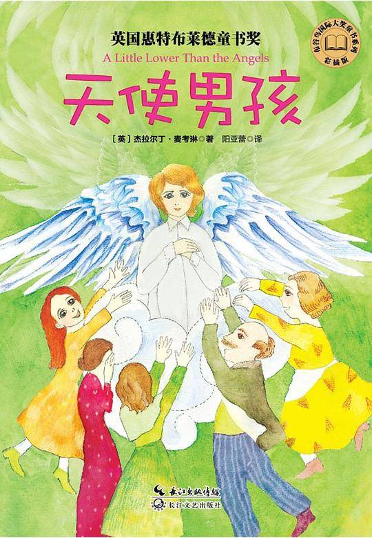 天使男孩布谷鸟国际大奖童书系列