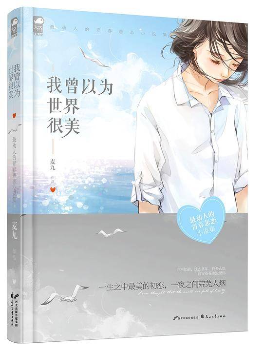《我曾以为，世界很美》