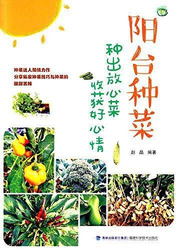 阳台种菜：种出放心菜收获好心情