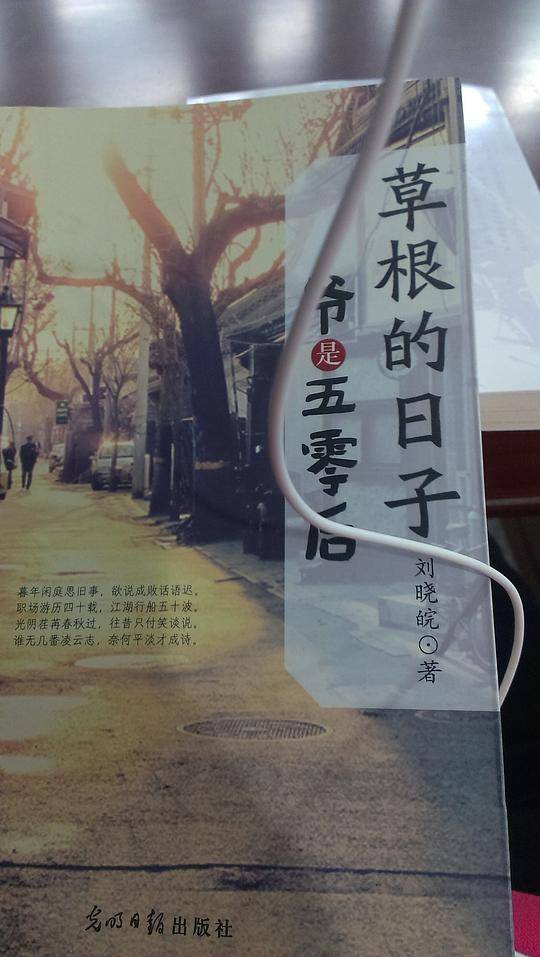 草根的日子