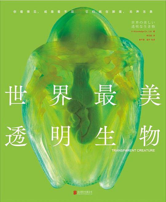 世界最美透明生物