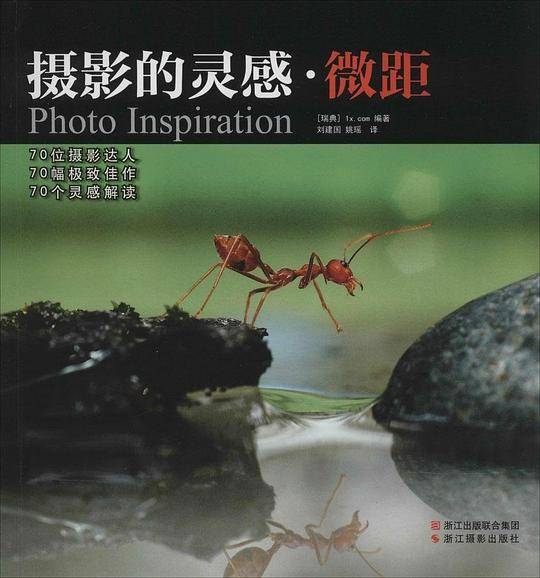 摄影的灵感·微距