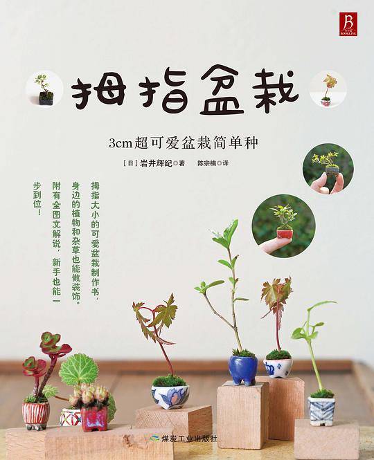 拇指盆栽：3cm超可爱盆栽简单种