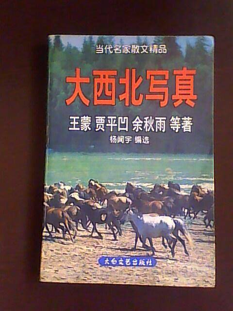 大西北写真