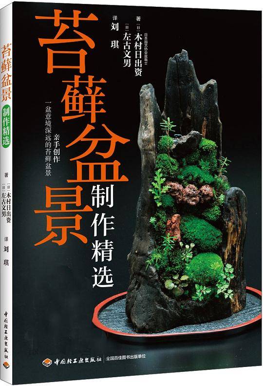 苔藓盆景制作精选