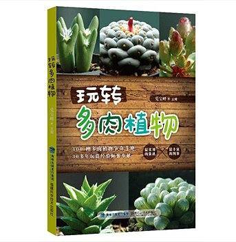 玩转多肉植物