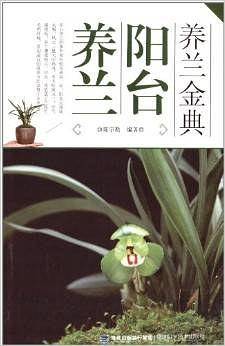 阳台养兰