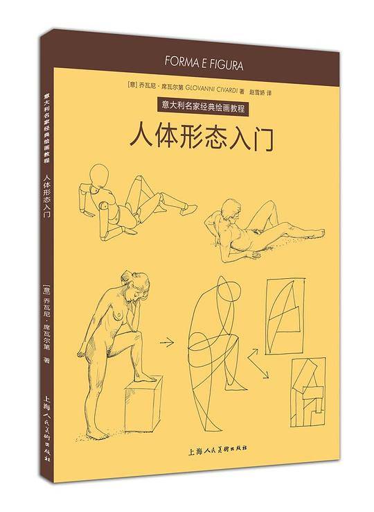 人体形态入门