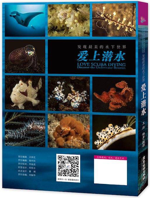爱上潜水
