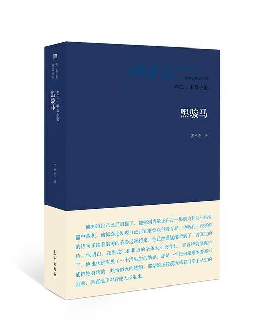 黑骏马