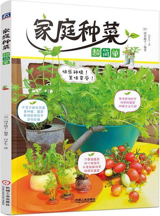 家庭种菜超简单