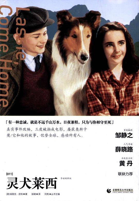 灵犬莱西
