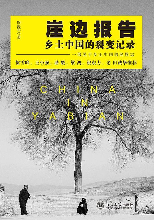 崖边报告