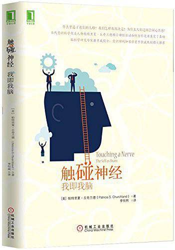 触碰神经