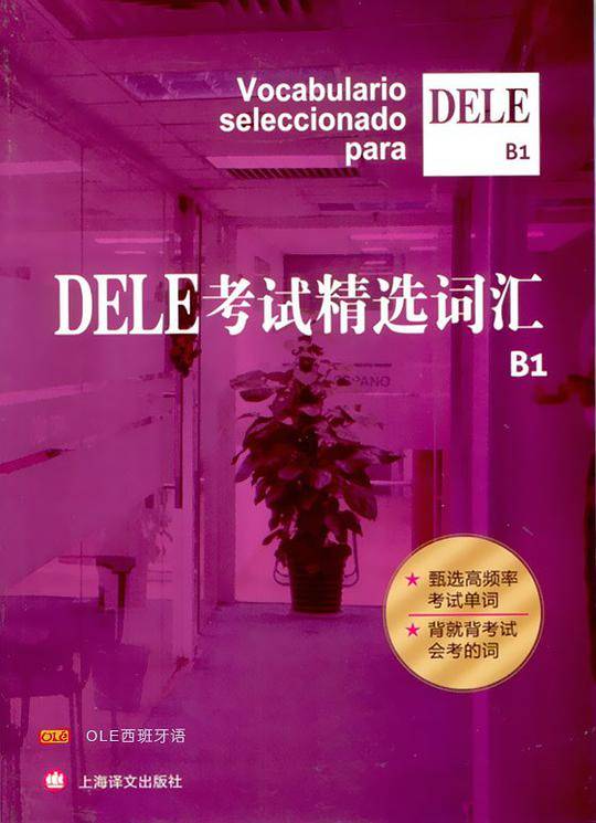 DELE考试精选词汇B1