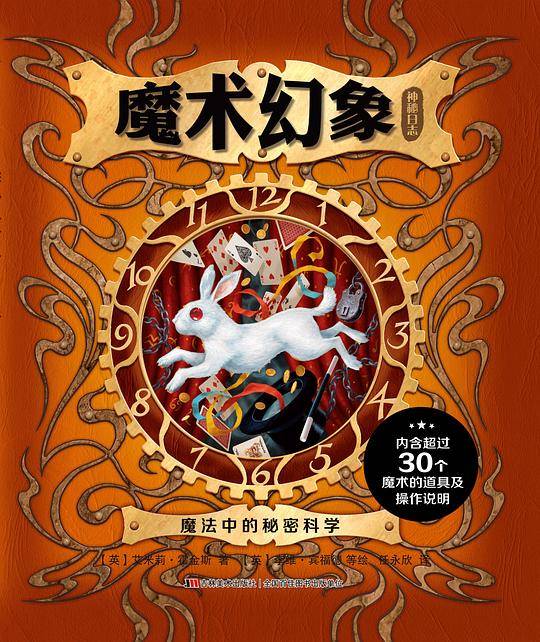 神秘日志·魔术幻象
