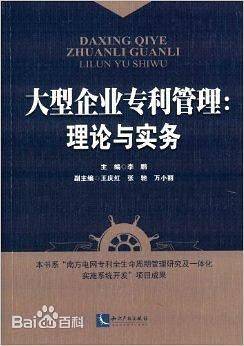 大型企业专利管理：理论与实务
