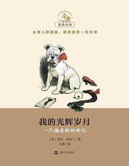 我的光辉岁月