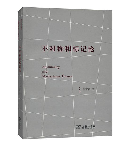 不对称和标记论