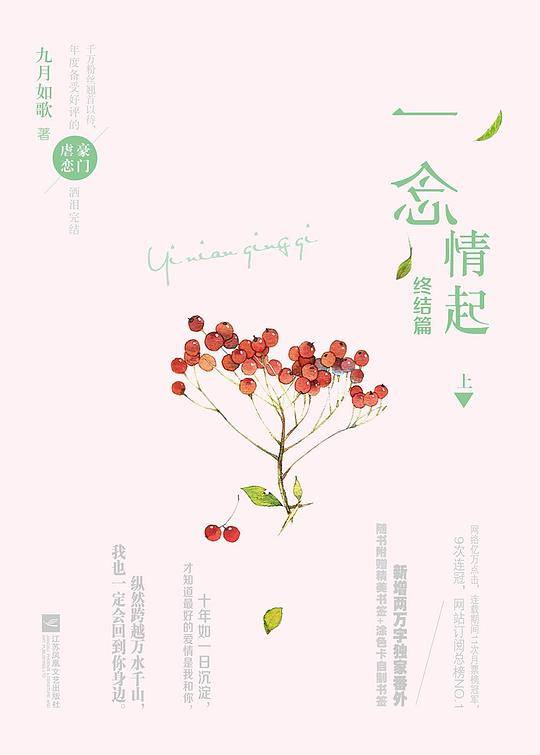 一念情起终结篇