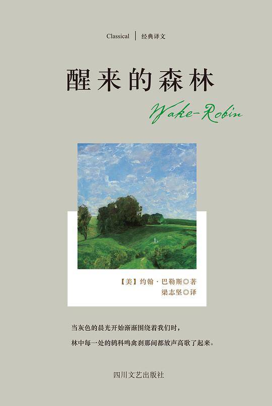 醒来的森林
