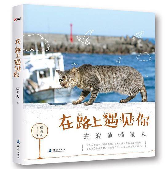 在路上遇见你