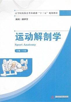 运动解剖学