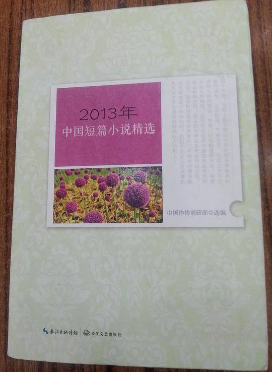 2013年中国短篇小说精选