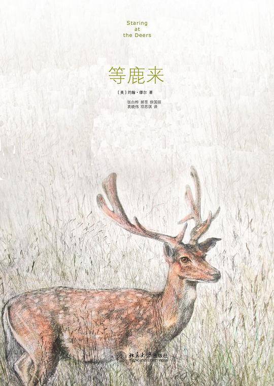 等鹿来