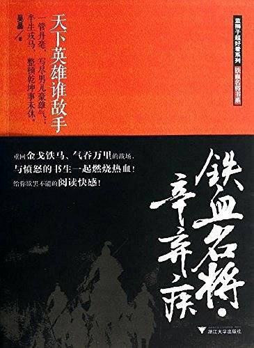 《铁血名将 辛弃疾》