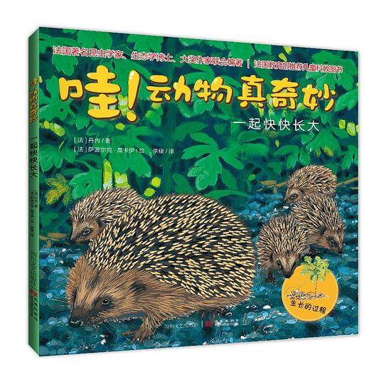 一起快快长大