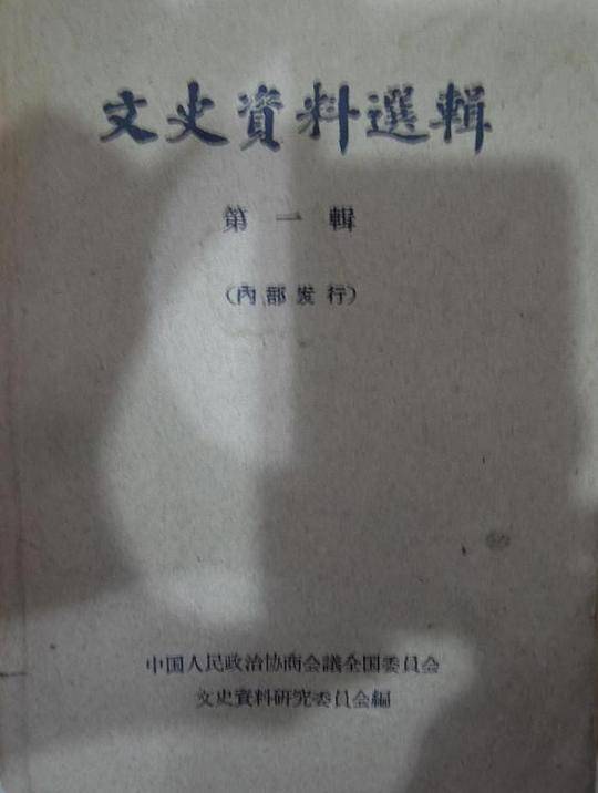 中国儿童文学走向世界：戴小桥全传