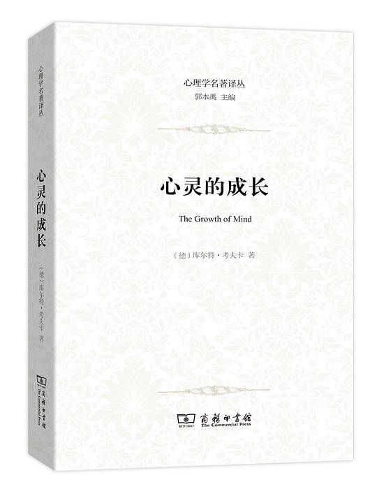 心灵的成长：儿童心理学导论