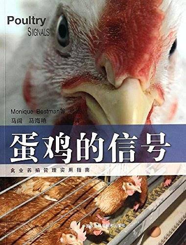 蛋鸡的信号