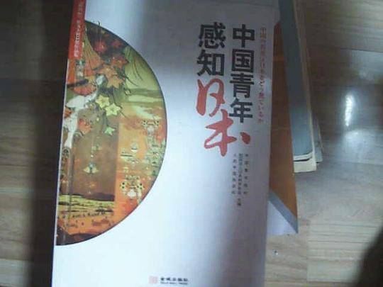 中国青年感知日本