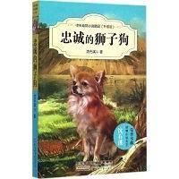 忠诚的狮子狗