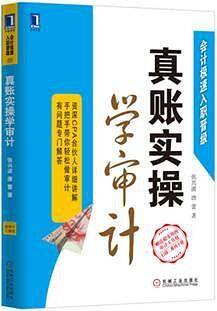 真账实操学审计