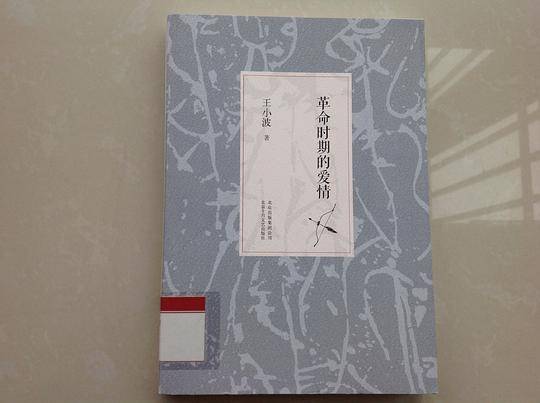 革命时期的爱情