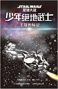 少年绝地武士 4