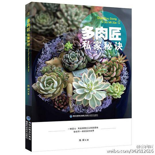 多肉匠私家秘诀