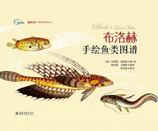布洛赫手绘鱼类图谱
