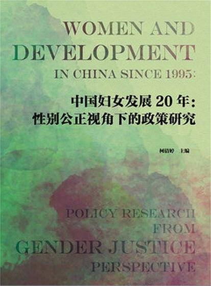 中国妇女发展20年：性别公正视角下的政策研究