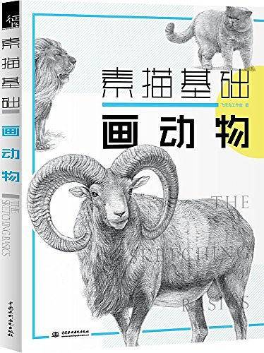 素描基础 画动物