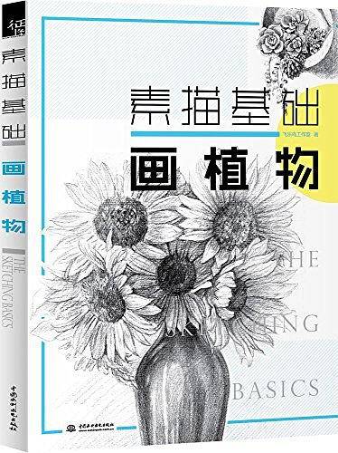 素描基础 画植物
