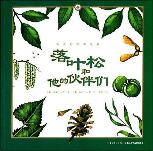 落叶松和他的伙伴们